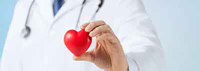 Sezione cardio vascolare